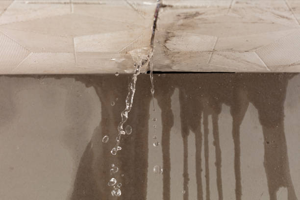 Professional Water Extraction technician working in Athelstane, WI